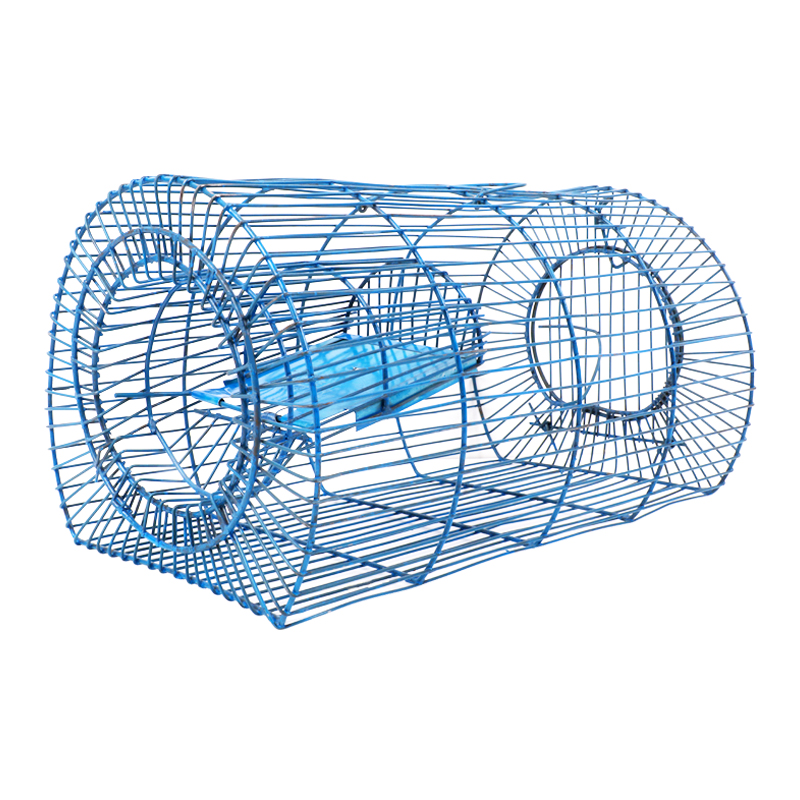 Small Blue Mouse Trap