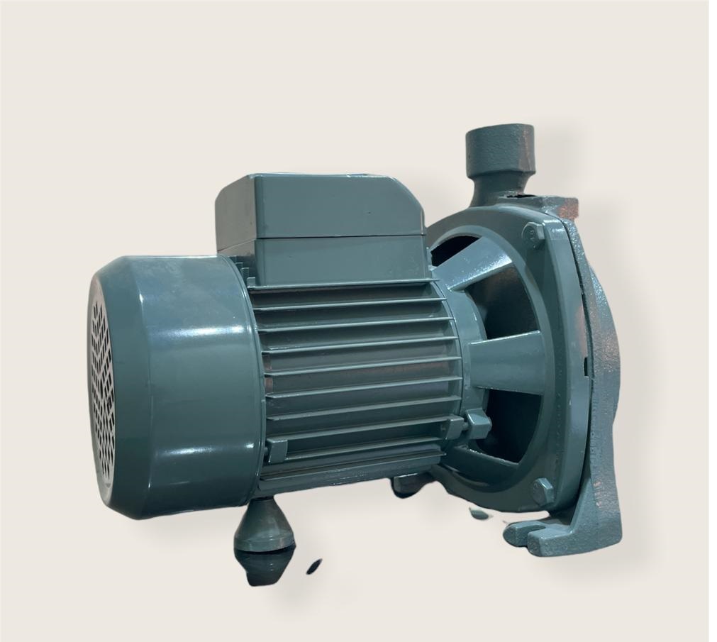 Ecco 1 Hp Water Pump 4010 